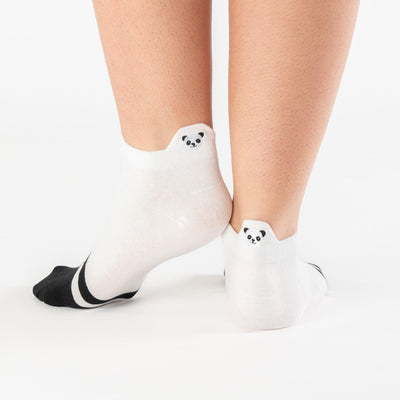 Panda Tongue Socks Box (Pack x5)