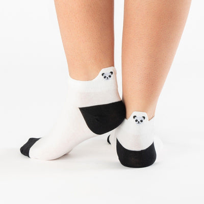 Panda Tongue Socks Box (Pack x5)