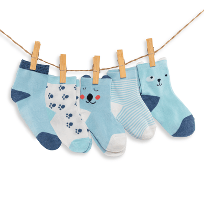 Box of Blue Bear Socks for Children &amp; Babies (Pack x5)