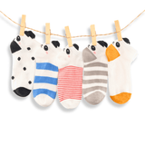 Panda Kids & Babies Socks Box (Pack x5)