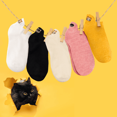 Coffret chaussettes en coton languette chat (lot x5)